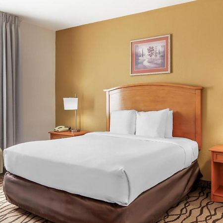 Comfort Inn & Suites Chesapeake - Portsmouth Bagian luar foto