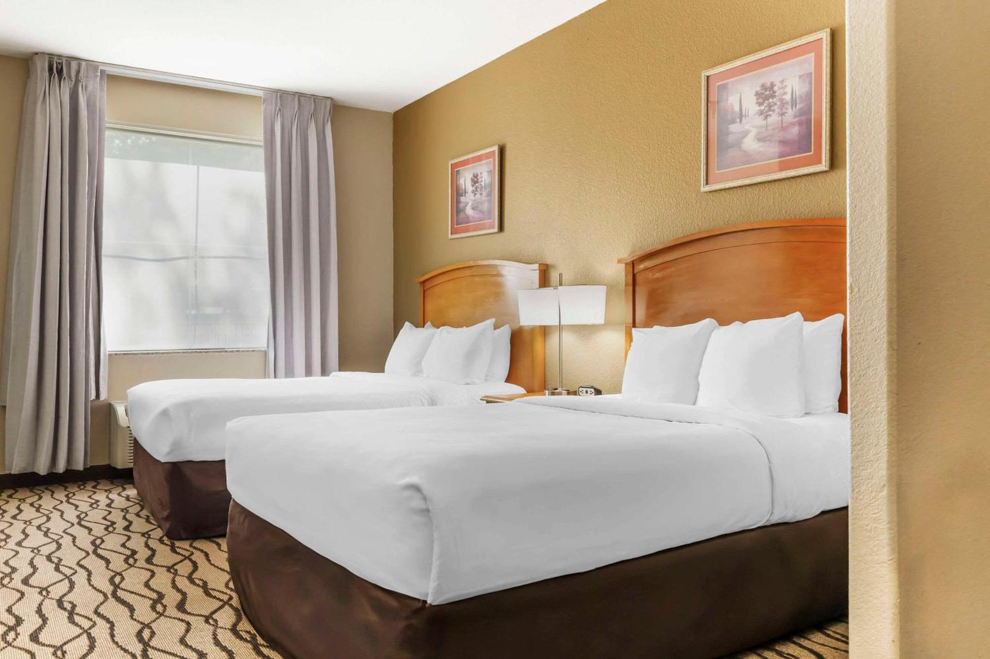 Comfort Inn & Suites Chesapeake - Portsmouth Bagian luar foto