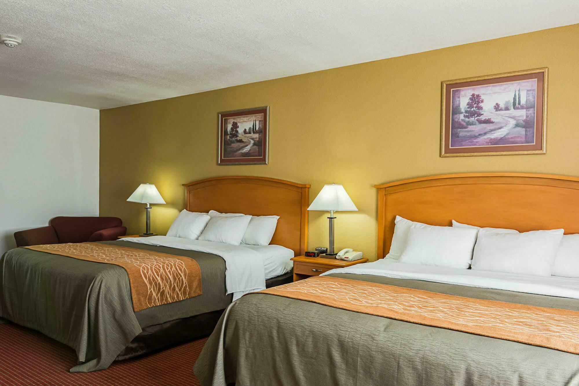 Comfort Inn & Suites Chesapeake - Portsmouth Bagian luar foto